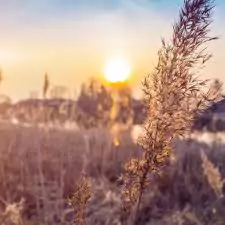 morning beautiful sunrise images morning beautiful sunrise images